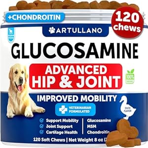 Glucosamine for Dogs – Hip and Joint Supplement for Dogs – Glucosamine Chondroitin for Dogs, Turmeric, MSM – Dog Glucosamine Support – Dog Joint Pain Relief Health – 120 Chews – Duck Flavor