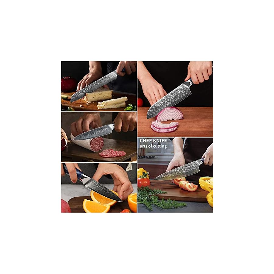 Chef Cooking Knives Set- Kitchen Knife Set of 5 Piece - Ultra-Sharp VG10 Damascus Steel & Resin Handle - Xuan Series (Sapphire Blue)