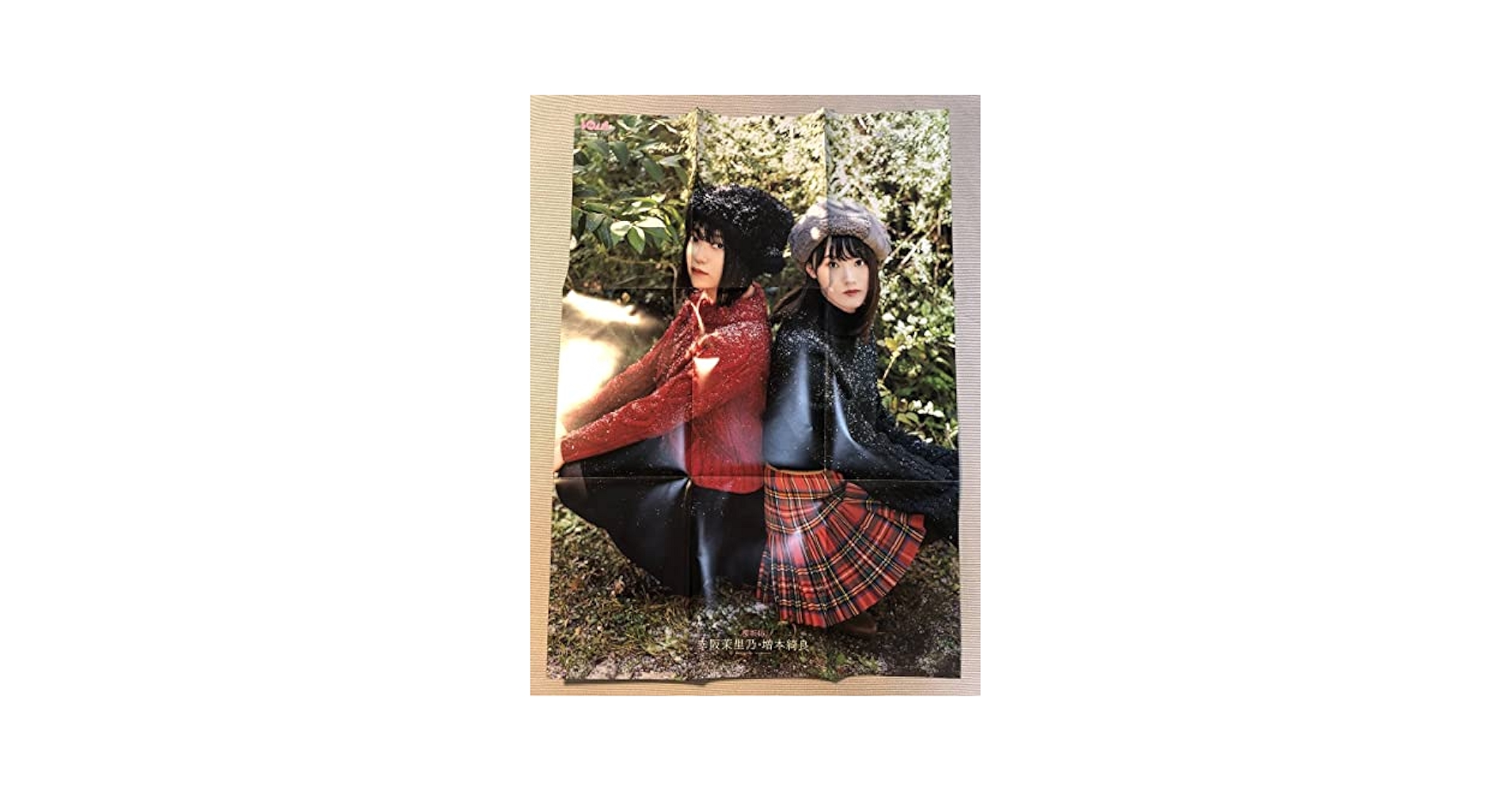 Amazon.co.jp: 櫻坂46 増本綺良 幸阪茉里乃両面ポスターボム