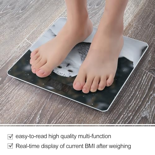 Báscula Digital de Baño Snow Owl Capacidad 400lb LCD miniatura 5
