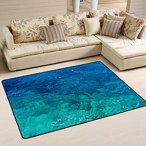 Tapis de sol bleu transparent en velours corail Ruchen 183x122 - 6