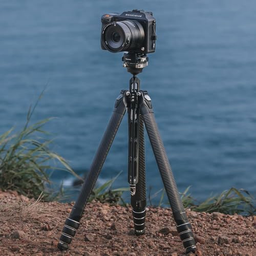 Image of Falcam TreeRoot F38 Pro Carbon Fiber Tripod, 61 inch Quick Lock Travel Tripod with 360 Ball Head, 5kg Load, F22 Interfaces, 1 /4 inch Screw, Carry Strap Holes for DSLR, Mirrorless, and Video Cameras