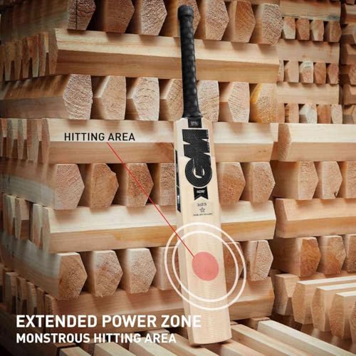 Image of GM Noir 303 English Willow Cricket Bat for Mens, Full Size - Mens with Free Bat Cover