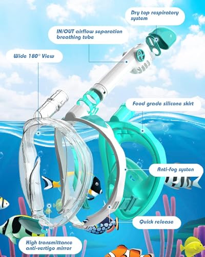 Image of Delavala Full Face Snorkeling Mask Diving Gear - Dry Top System,180 Degree Panoramic View Snorkeling Mask with Camera Mount,Safe Breathing,Anti-Leak Anti-Fog-Swim Fins (Green- Large /X-Large)