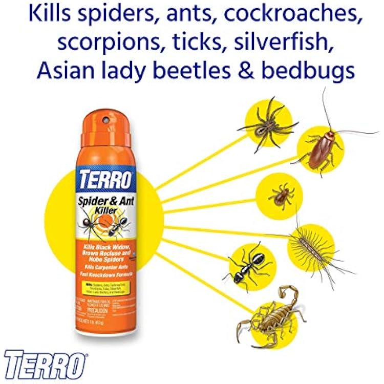 TERRO T2302-6 Spider Killer Spray for Indoors and Outdoors - Kills Spiders, Ants, Roaches, Scorpions, Ticks, Silverfish, and Other Insects