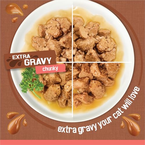 Purina Friskies Extra Gravy Wet Cat Food Chunky 24ct Variety Pack (With Chicken, Turkey, Salmon, Beef) - (Pack of 24) 5.5 oz. Cans - Image 5