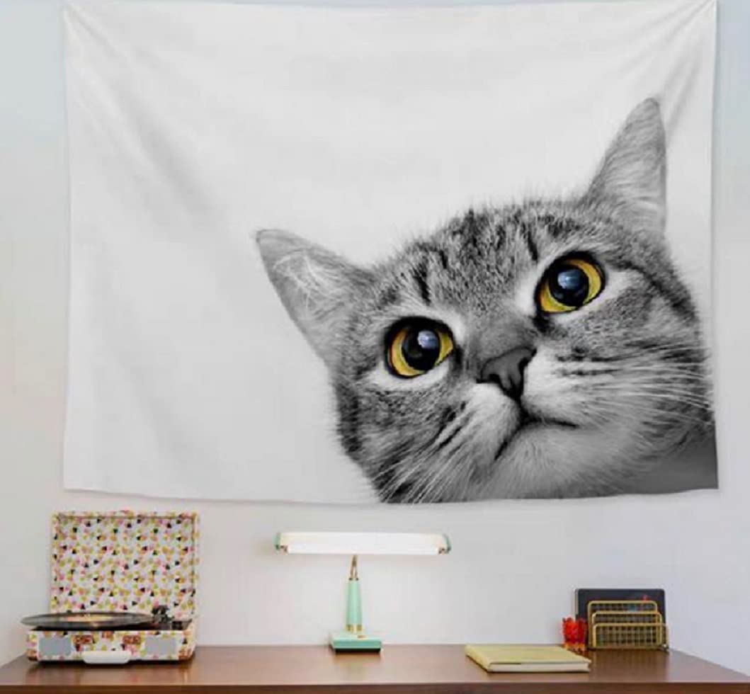 Amazon.co.jp: KAIMED可愛い猫 タペストリー おしゃれ 動物 風景 猫