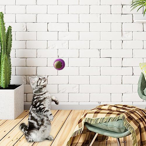 Tumotsit Wand Katzenminze, essbares Bio-Spielzeug für Kätzchen, Kauspielzeug mit Kugel, Katzenminze, Wand, Leckbälle für Katzenminze