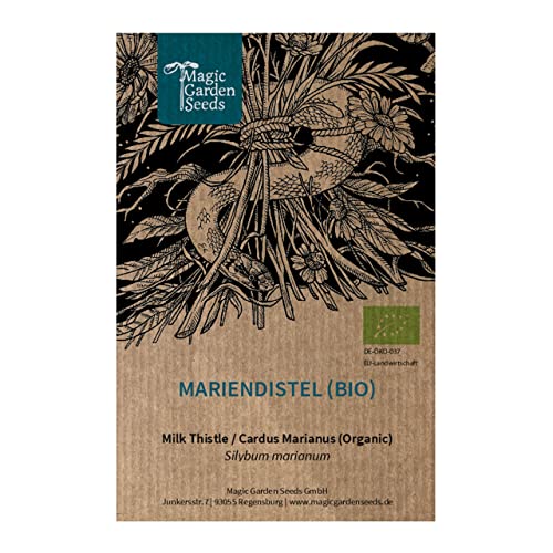 Mariendistel (Silybum marianum) Bio - ca. 50 Samen