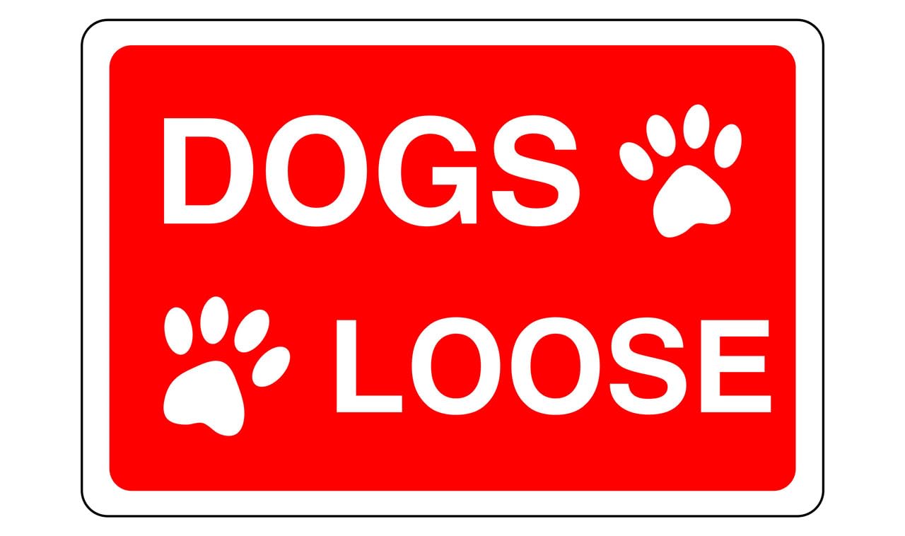 Safety First Display Ltd Red Dogs Loose Sign - High Tack Self-Adhesive Sticker (150Mm X 100Mm) Viewing Distance Within 3M.
