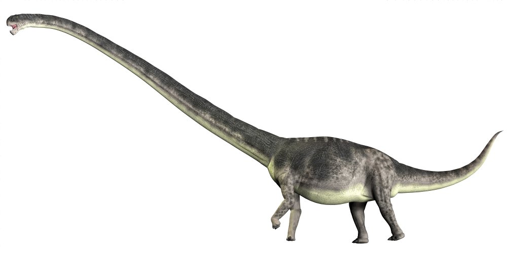 Amazon.com: Posterazzi Omeisaurus is a herbivorous sauropod