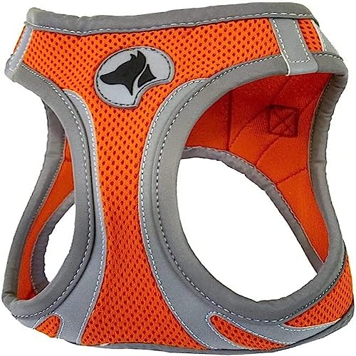 Croci C5081169 - Pettorina Riflettente Per Cani, Multicolore (Arancio), XL, 1 Pezzo