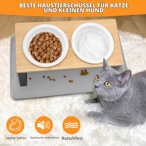 Keramischer Futternapf mit 15° Gekippter Katzenstation, Metallhalter und Silikonunterlage, 350ML Fressnapf und Wassernapf für Katzen und Hunde
