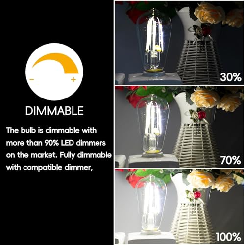 Image of Jensense Edison Bulbs E26 LED Bulb 60 Watt Equivalent, Vintage LED Light Bulbs CRI90+ ST19, Dimmable Clear Light Bulbs (5000K Daylight, 8watt-32 Pack)
