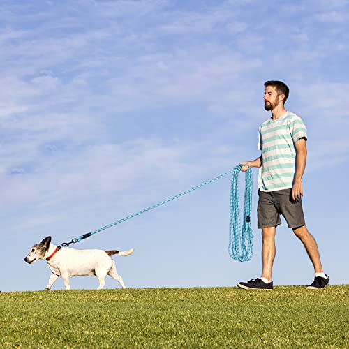Image of Long Dog Leash for Training 50Ft-Reflective Nylon Rope with Swivel Hook-Recall Agility Lead for Large Small Medium Dogs Outside Walking Hiking-Sky Blue Diam 1 /2 inch