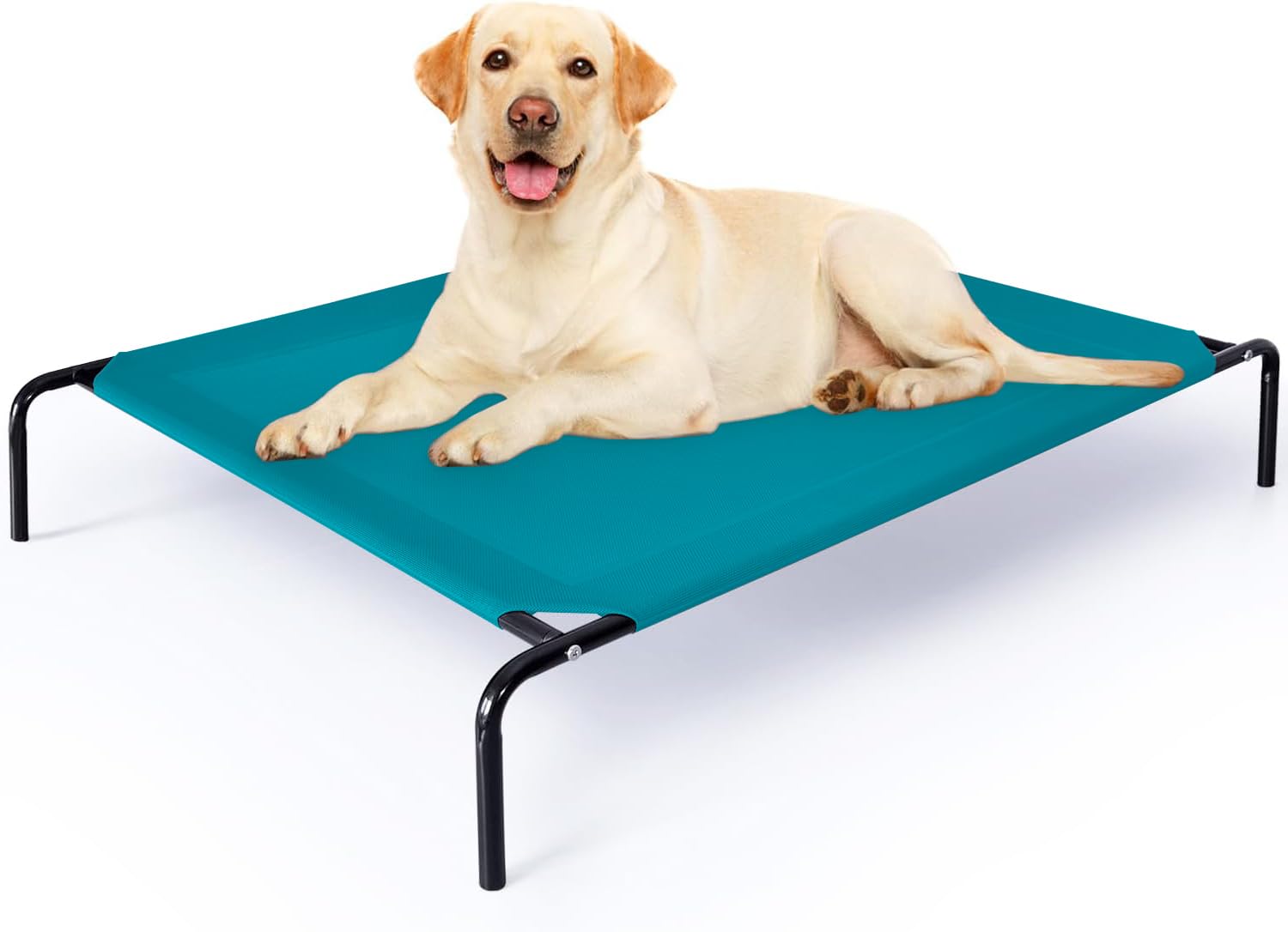 Pet Clean Large Elevated Dog Bed, Scratch Resistant, Breathable & Waterproof, Raised Cot, Green, Large(39"x30"x9") (B0D6YX9RMQ) Amazon Price History, Amazon Price Tracker