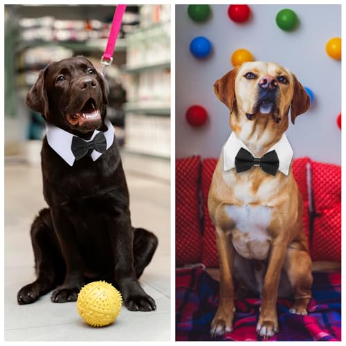 Hund Hochzeit Fliege Für Katzen Und Haustiere - Verstellbare Baumwolle Hundekrawatte Für Geburtstag Und Party