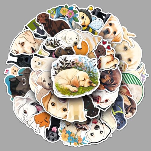 50Zbg hbO ybgV[Y EH[Cte[} XebJ[ V[ h   lC fJ[ XP[g{[h ו X[cP[X M^[  X}zP[X XP{[ Xm{ m[gp\R p\R J[ ] oCN w