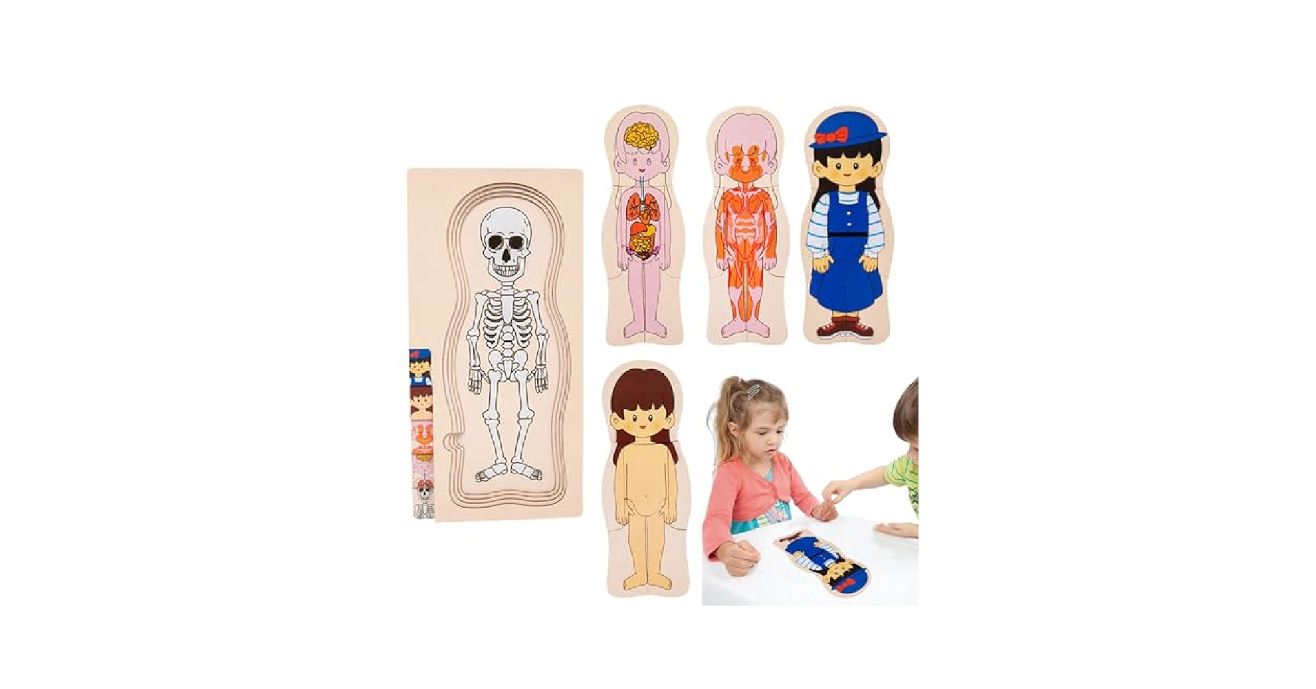 美品　sassi 　パズル　人体 　知育 美品 sassi パズル 人体 知育 - メルカリ