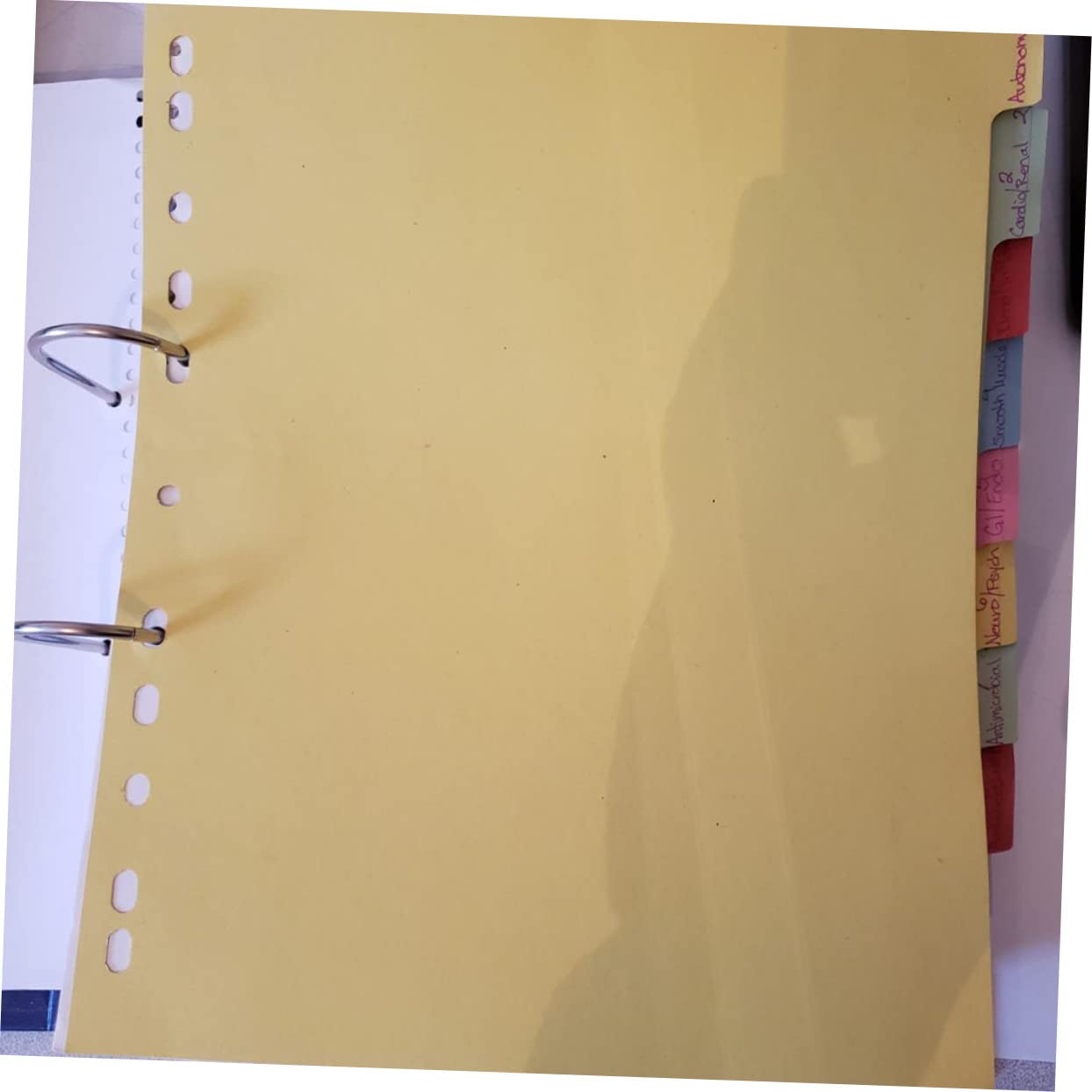 36pezzi Pz Divisori Colorati Per Raccoglitori Con Linguette Scrivibili Per Organizzazione Documenti e Presentazioni