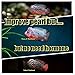cz aqua Help for Crossbreed 100g Flowerhorn Fish Food