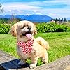 UP URARA PUP Red and Pink Plaid Dog Collarwith Bow Tie– Adjustable Red & Pink Checkered Dog Collar for Small Medium Large Dogs, Soft Xmas Plaid Puppy Collars with Quick Release Buckle M #5