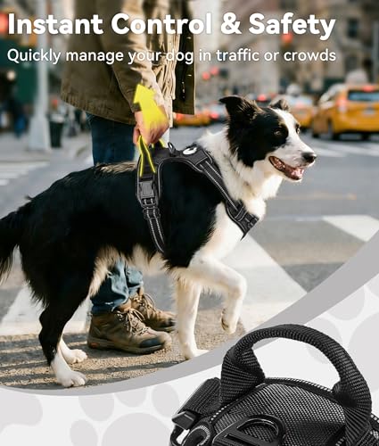 Joytale No Pull Dog Harness Medium Sized Dog, Front Clip, Black | Grab Handle for Instant Control, Padded & Adjustable Vest, Sturdy Metal D-Rings, for Safe Training & Daily Walking - Image 4