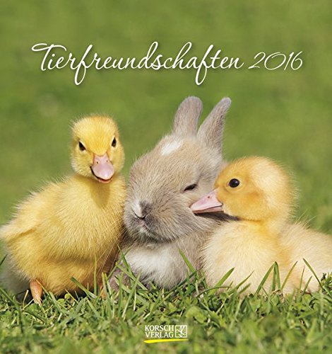 Tierfreundschaften 2016: aufstellbarer Postkartenkalender