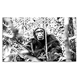 Cuadros Lifestyle Acrylglasbild | Wandbild Glasbild Acrylbild Rahmenlos | Torsten Reuter | Schimpanse, Größe:150x100 cm