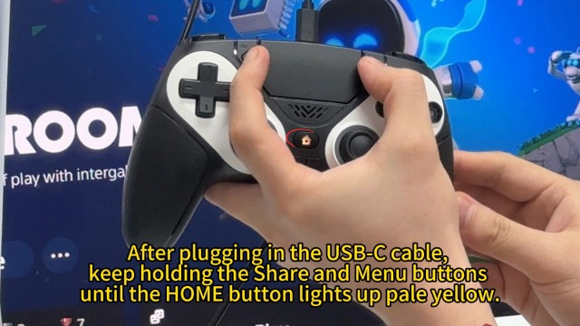 Amazon.com: Dinosoo RGB Wireless Controller for PS5/PC - Bluetooth
