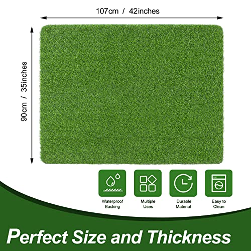 Linla Artificial Grass Door Mat Outdoor Rug Synthetic Fake Dog Grass Mat Turf Waterproof Durable Doormat For Indoor Entryway, Outside Patio, Lawn, Garden, 42X35 Inches #TOP1