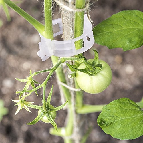 KINGLAKE 100 Pieces Clips Tomate pour Plantes,Clips pour Grimpantes,Jardin Clips en Plastique,pour légumes,Plantes,Tomates-Blanc