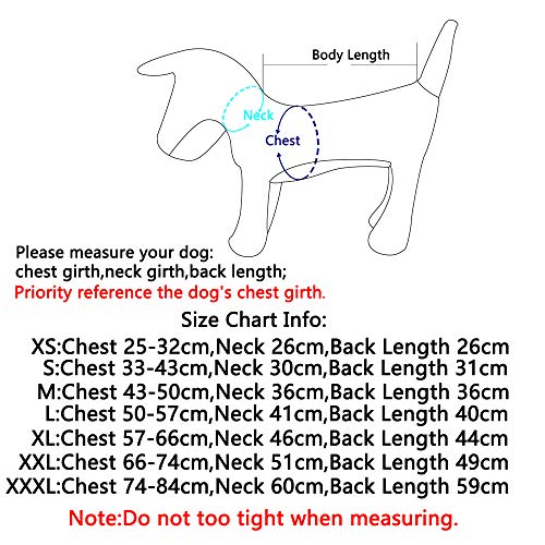JoyDaog Wendehundemäntel für kleine Hunde wasserdichte, warme Baumwoll-Hundejacke für den kalten Winter, Grau M
