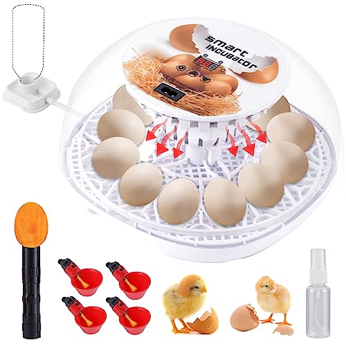 Egg Incubators for Hatching eggs 12-35 Egg Incubator with Automatic Egg Turning, Temperature & Humidity Control, Automatic Water Adding, LED Egg Candler, 360°View for Hatching Chicken Quail Duck Bird