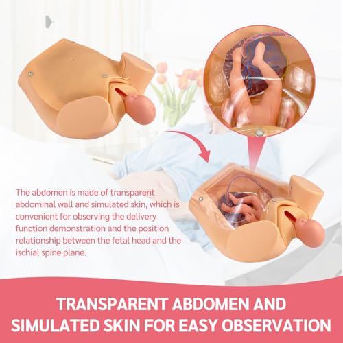 Image of Advanced Midwifery Training Childbirth Simulator, Life Size Gynecology Maternity Teaching Model Includes Models of Baby Uterus Amniotic Sac Pelvis and Placenta Umbilical for Medical Pratice Training