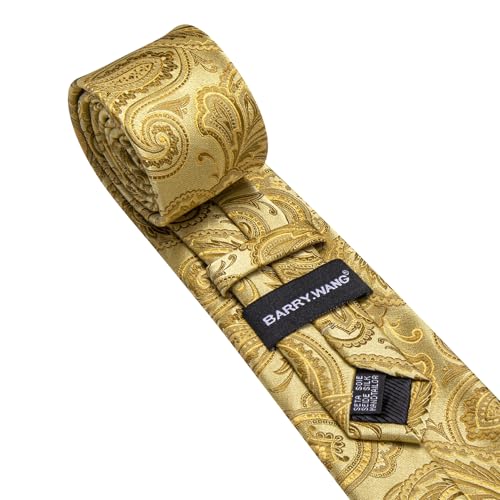 Image of Barry.Wang Men Ties Paisley Woven Silk Necktie Set with Pocket Suqare Cufflinks Formal
