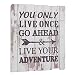 Stonebriar High Plains LIVE YOUR ADVENTURE Weathered White Wood Wall Art