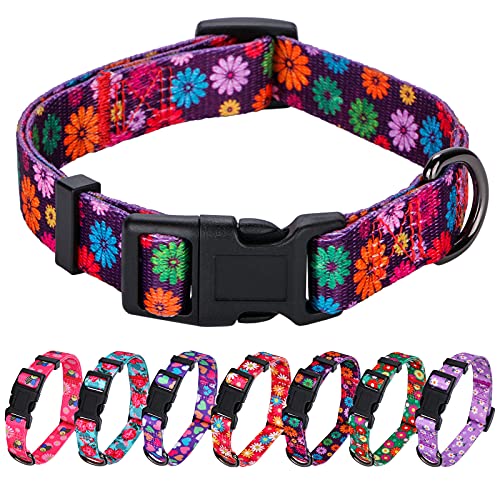 Rhea Rose Girl Dog Collars Fall Daisy Pattern, Colorful Flowers Print, Female Collar, Dark Purple, Large
