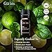 Gya Labs Lime Essential Oil - 0.34 Fl Oz - for Hair, Skin, Diffuser, Aromatherapy & DIY Candle Making Scent
