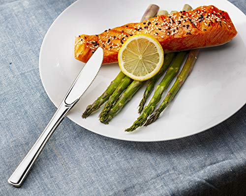 Plasticpro Disposable Heavy Duty Silver Plastic Knives, Fancy Plastic Silverware Looks Like Real Silver Cutlery - Utensils Great For Catering Events, Restaurants, Parties And Weddings Pack Of 40 #TOP3