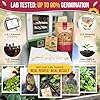 55 Vegetable Seeds Variety Pack - 35,600+ Non-GMO Heirloom Seeds for Planting Vegetables and Fruits in Individual Seed Packets, Home Garden Seeds for Hydroponic, Indoor and Outdoors Gardening #1