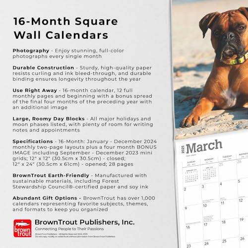 Boxers International Edition | 2025 12 x 24 Inch Monthly Square Wall Calendar | Plastic-Free | BrownTrout | Animals Dog Breeds - Image 4