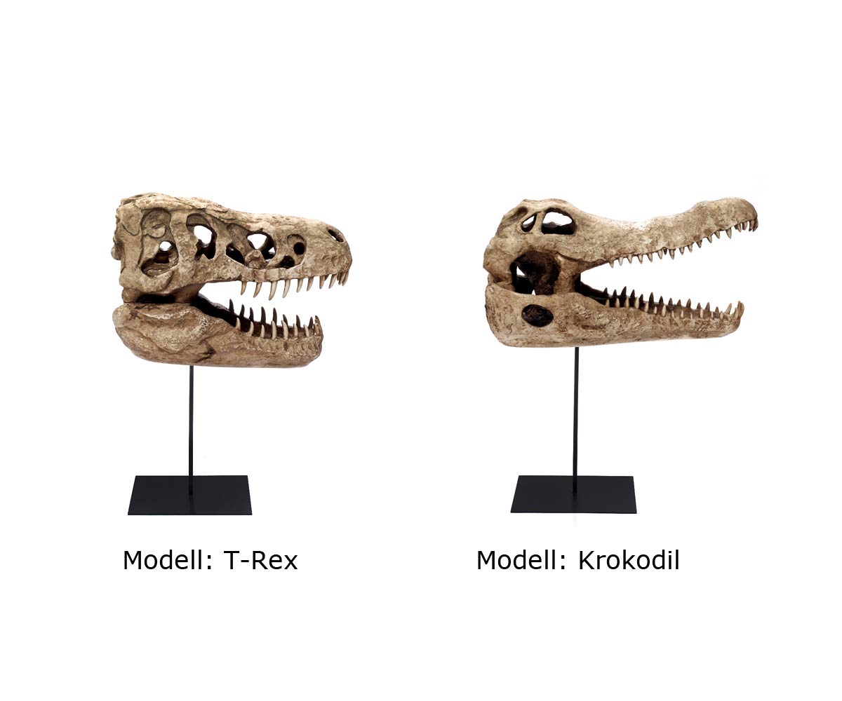 Design Reptil Schädel Deko Kopf Skulptur Krokodil Kopf Totenkopf Deko groß