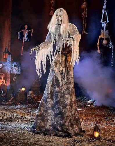 Spirit Halloween 7 Ft Crypt Countess Animatronic Halloween Decorations Animated Haunted House Decor Multicolor