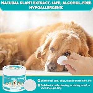   Dog-and-Cat-Eye-Wipes-Gently-Remove-Tear-Stains-Mucus-Secretions-Aloe-Vera-Extract-Beauty-CleanEye-Care-for-Dogs-and-CatsSterile-Cat-and-Dog-Wipes-Formulated-to-Remove-Eye-Debris-100-count