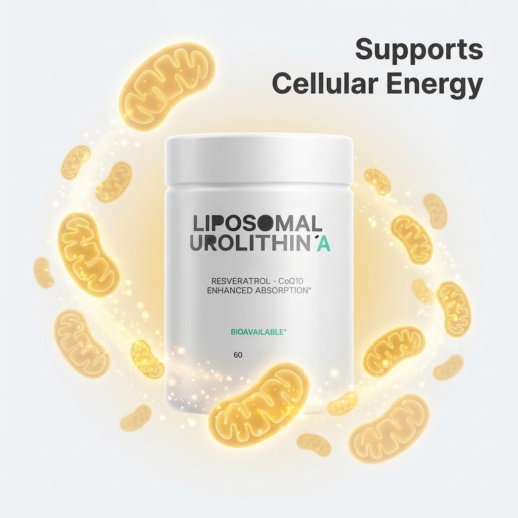 Liposome bioverfügbar Liposomenabgabe – Vegan