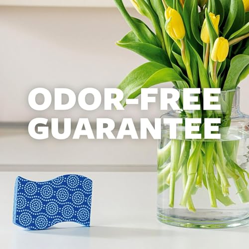 Scotch-Brite Kratzfeste Scheuerpunkte, 3 Stück, Kratzfest, für effektive und schützende Reinigung