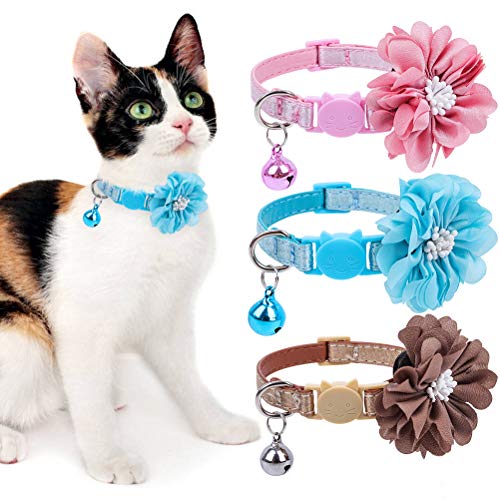 EXPAWLORER Chat Réglable Breakaway  Lot de Colliers avec Bell Charm 4 Pcs Collier pour Chaton Chiens de Petite Taille Différents Motifs Marine Biologique Motif