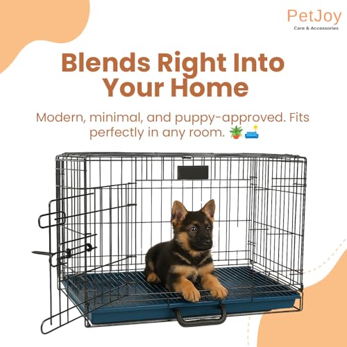 Image of PETJOY Foldable Metal Dog Cage | Dog Crate Kennel for Puppies, Small Dogs, Cats & Rabbits | Single Door with Secure Lock, Removable Leak-Proof Tray | Portable & Easy to Clean Pet Cage (Black, 30 INCH)