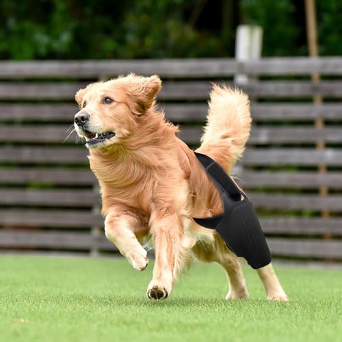 Image of Dog Knee Brace for Torn ACL Hind Leg Dog Leg Braces for Back Leg Front Torn for Hip Dysplasia, Dog Arthritis, Luxating Patella